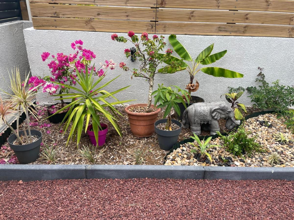 Arbre A Pain Bras-Panon Exterior foto